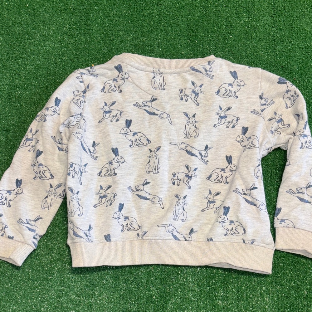 Gray Sweatshirt with Rabbit Print - Picture 5 of 7